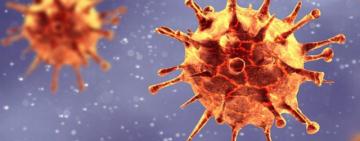 Covid-19: данные по районам Одесской области