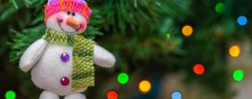 В Одесской области стартовала предновогодняя продажа хвойных