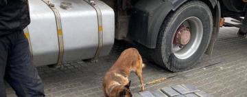 И снова кокаин в бананах: в Одесской области обнаружили наркотики на  $4 млн