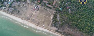 Лесной массив в «Лебедевке» стоимостью в 650 млн. грн. хотят вернуть государству - прокуратура