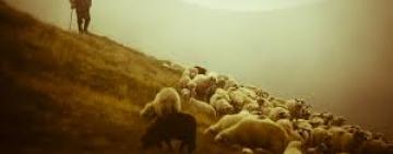 17-летний житель Сараты подорвался на мине: ему частично оторвало конечность