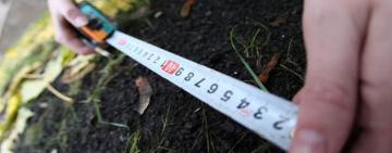 В Одесской области 1300 га земли стоимостью более 80 млн грн "прихватил" директор предприятия  