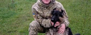 В Одесской области агрессивная лиса напала на пограничника