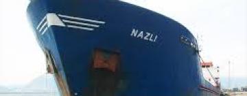 В Гвинейском заливе пираты похитили 10 членов экипажа сухогруза