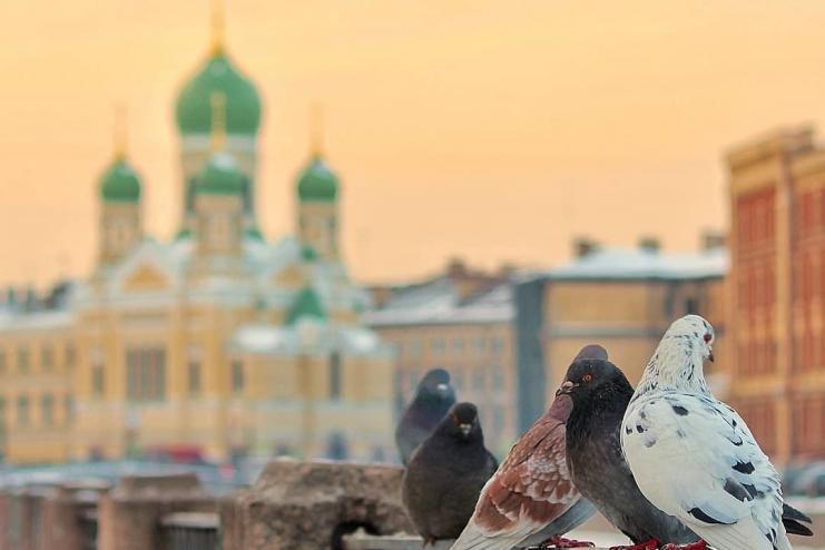 Расписание богослужений в храмах г. Арциз с 30 ноября по 6 декабря. Рождественский пост     