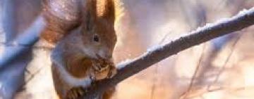 "WINTER IS HERE": прогноз погоды на декабрь