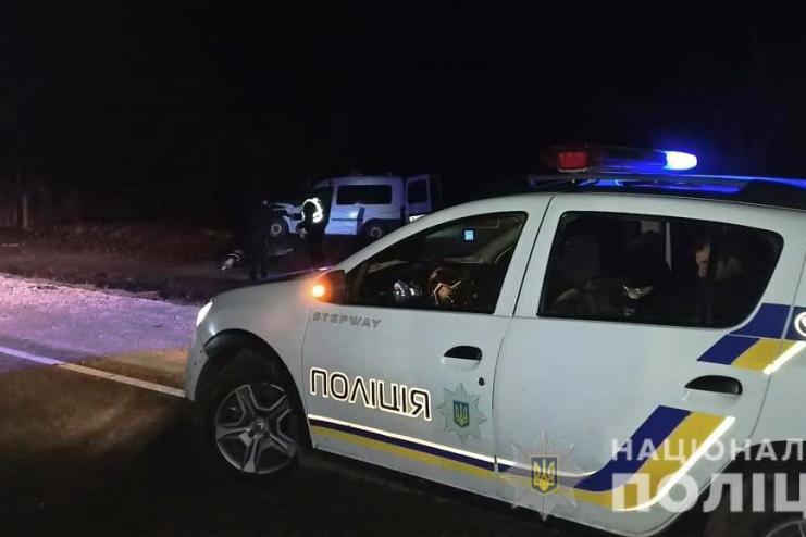 В Одесской области машина столкнулась с лошадью: две жертвы
