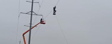 В Одесской области для защиты птиц энергетики устанавливают светоотражающие маркеры  