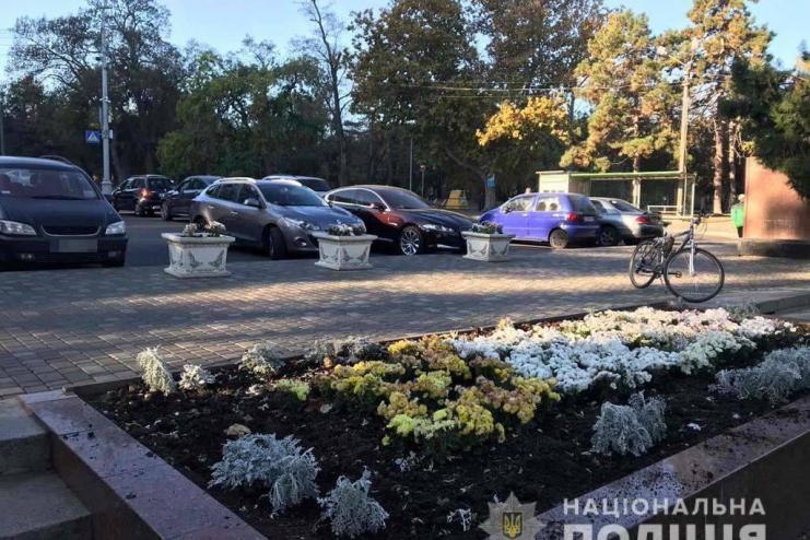 Выкопали на Аллее Славы декоративные растения и продали на рынке:  полиция задержала подозреваемых