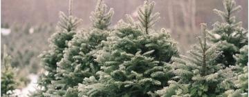 Как проверить 