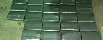 В Одесской области пограничники разоблачили международный канал контрабанды кокаина в ЕС