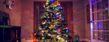 СПРАВЖНЯ ЧИ ШТУЧНА?