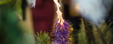 Безопасный НГ: 10 советов спасателей при установлении новогодней елки