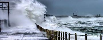 Надвигается циклон "Гермина": порывы ветра и игра на контрасте 