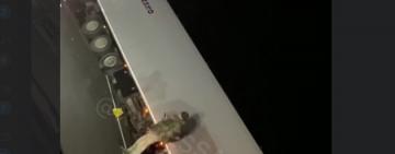  ДТП с участием коровы и фуры произошло на трассе Одесса-Рени