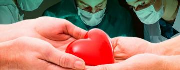 Степанов про трансплантацію органів і тканин в 2021 році