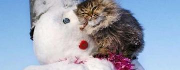 Украину накрывают сильные морозы: когда морозы будут самыми сильными?