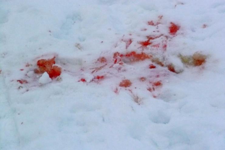 В Измаиле возле ледового катка на мужчину с ребенком напала неадекватная женщина с ножом