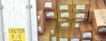 Путешественница: из Одессы в Израиль в контейнере со сладостями тайком приплыла кошка