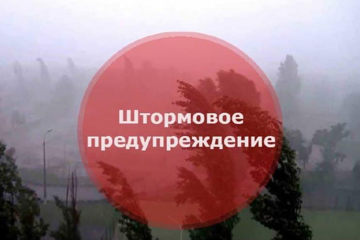 ❗️25 января - Штормовое предупреждение в Одессе и области
