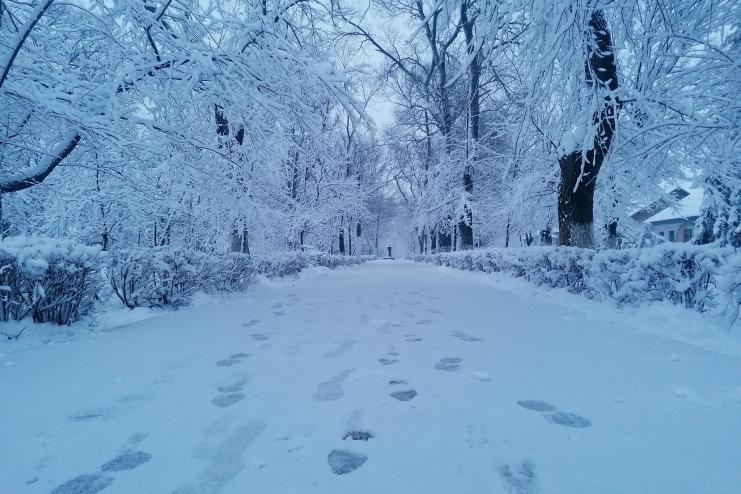 Один зимний день в Арцизе: без света, воды и транспорта