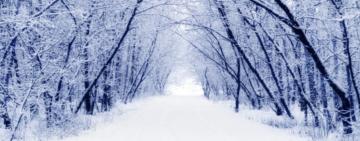 29 січня школи Арцизу знову на дистанційному навчанні 