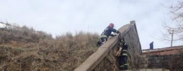 В РЕНИ СПАСАТЕЛИ ВЫТАЩИЛИ СОБАКУ ИЗ ЯМЫ