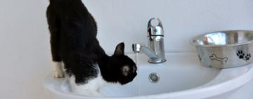 В САРАТЕ И НЕКОТОРЫХ СЁЛАХ БОЛГРАДСКОГО РАЙОНА ВОДУ ИЗ КРАНА ЛУЧШЕ НЕ ПИТЬ