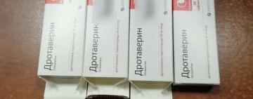 В лицее под Киевом умерла 7-классница: приняла с подругой "Дротаверин"