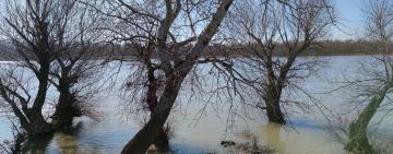 В Одесской области готовятся к возможному наводнению на Дунае и Днестре