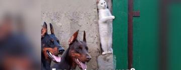 В Арцизе можно обсудить повышение тарифов на воду: главный вопрос 