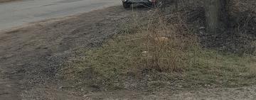 В Арцизской громаде предприниматель наладил добычу песка - Сергей Парпуланский