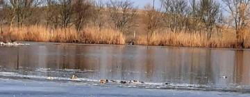 У заповіднику 