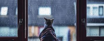 В Одесской области резко похолодает, ожидается снег	