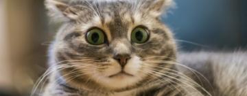 "ВСЕ МУЖИКИ КОЗЛЫ", ОДНОГО ДАЖЕ ИЗБИЛИ:  8 МАРТА В ОДЕССЕ ЗАПОМНИТСЯ