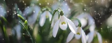 Жары не будет даже в мае: синоптик рассказал, какой погоды ждать украинцам весной