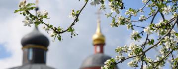 Расписание Богослужений в храмах г. Арциз с 15 - 21 марта