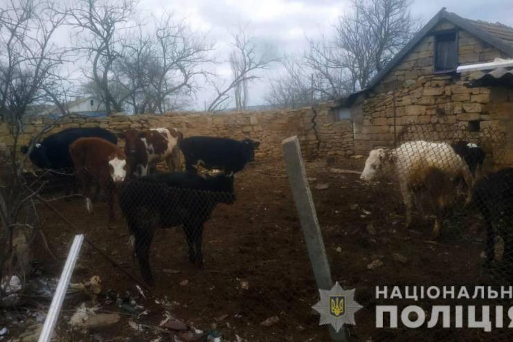 В Одесской области фермер жестоко обращался с домашними животными: составлен протокол