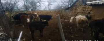 В Одесской области фермер жестоко обращался с домашними животными: составлен протокол