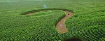 Результати сходу сіл Василівка та Нові Каплани: чи буде винесене на розгляд сесії земельне питання?