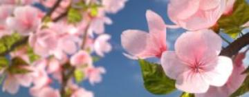 СИНОПТИКИ РАССКАЗАЛИ, КОГДА ЖДАТЬ ПОТЕПЛЕНИЯ