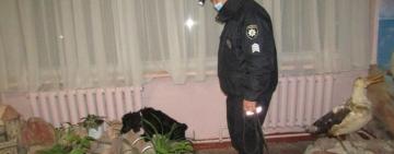 Програла парі подружці: дівчинка замінувала школу