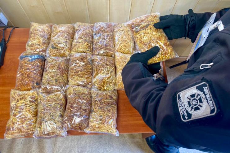 «Сонячні коралі» не доїхали до пані: службовий пес Бакс виявив 15 кг бурштину на Одеській митиниці 
