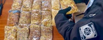 «Сонячні коралі» не доїхали до пані: службовий пес Бакс виявив 15 кг бурштину на Одеській митиниці 