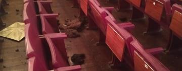 В Килийской громаде неизвестные разгромили актовый зал Дома культуры