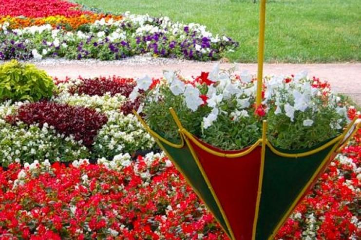 У Білгороді-Дністровському стартує проєкт «Квітучий Аккерман»