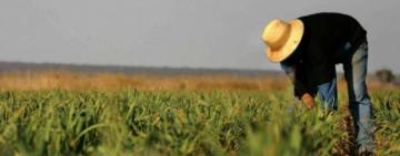 Селяне, которые сами обрабатывают землю, должны платить налоги и подавать декларации