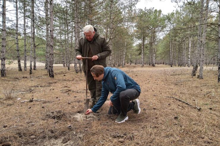 Rewilding Ukraine: в Вилковской громаде высадили экспериментальный участок дуба обыкновенного