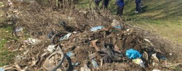 Павлівська громада на толоці до Всеукраїнської акції з благоустрою "За чисте довкілля"