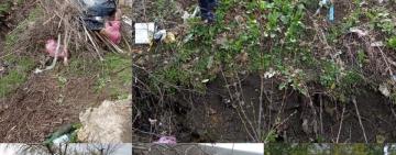 Чистая окружающая среда - чистая совесть!